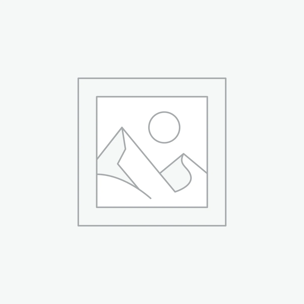 Bird of Paradise Plant